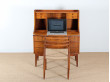 Scandinavian rosewood cabinet